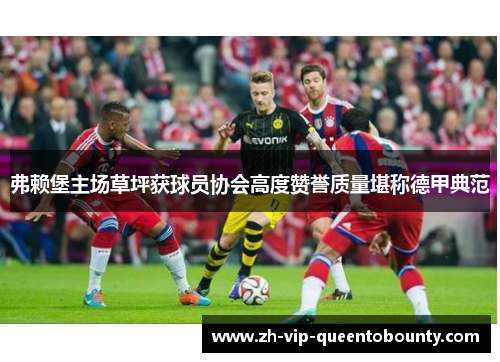 弗赖堡主场草坪获球员协会高度赞誉质量堪称德甲典范